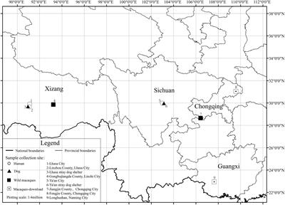 Diet and high altitude strongly drive convergent adaptation of gut microbiota in wild macaques, humans, and dogs to high altitude environments